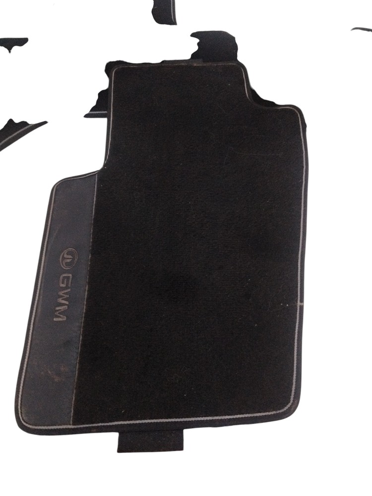 Jogo Completo De Tapetes Carpete Original Gwm Tank 300 2026 Preto 3
