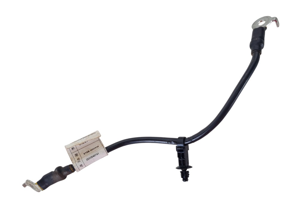 Cabo Bateria Byd Tan 2023 Original Steb-4002936 3