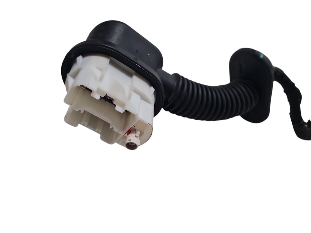 Chicote De Porta Para Gwm Tank 300 Ano 2025 2026 Original 5