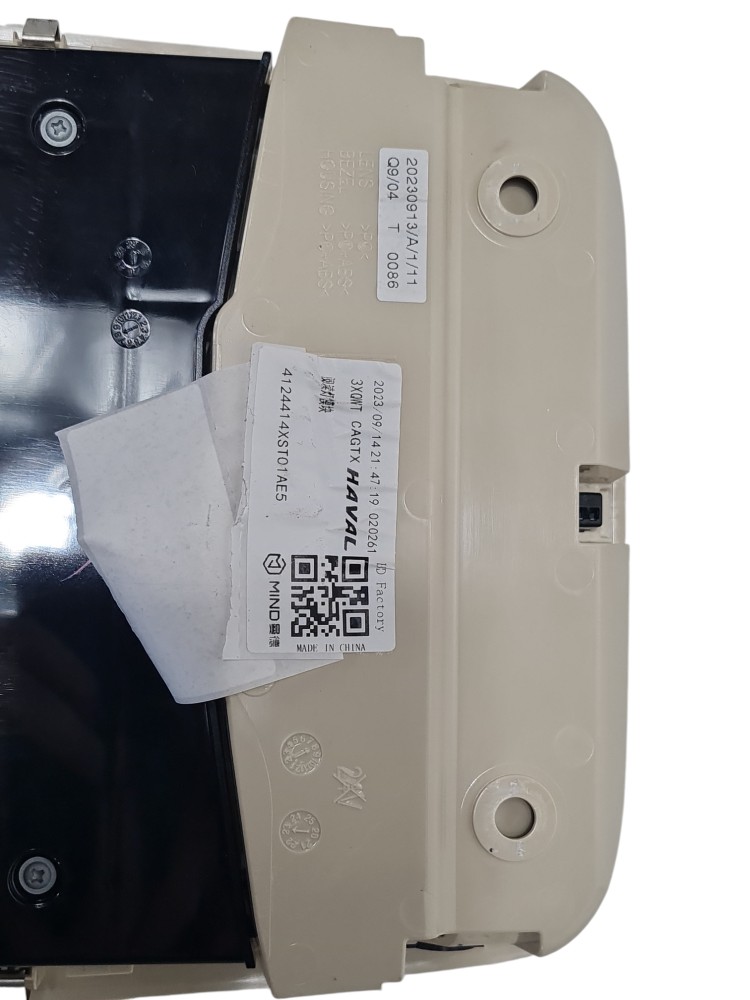 Luz de cortesia teto gwm ora 03 skin 2023 2024 original 6