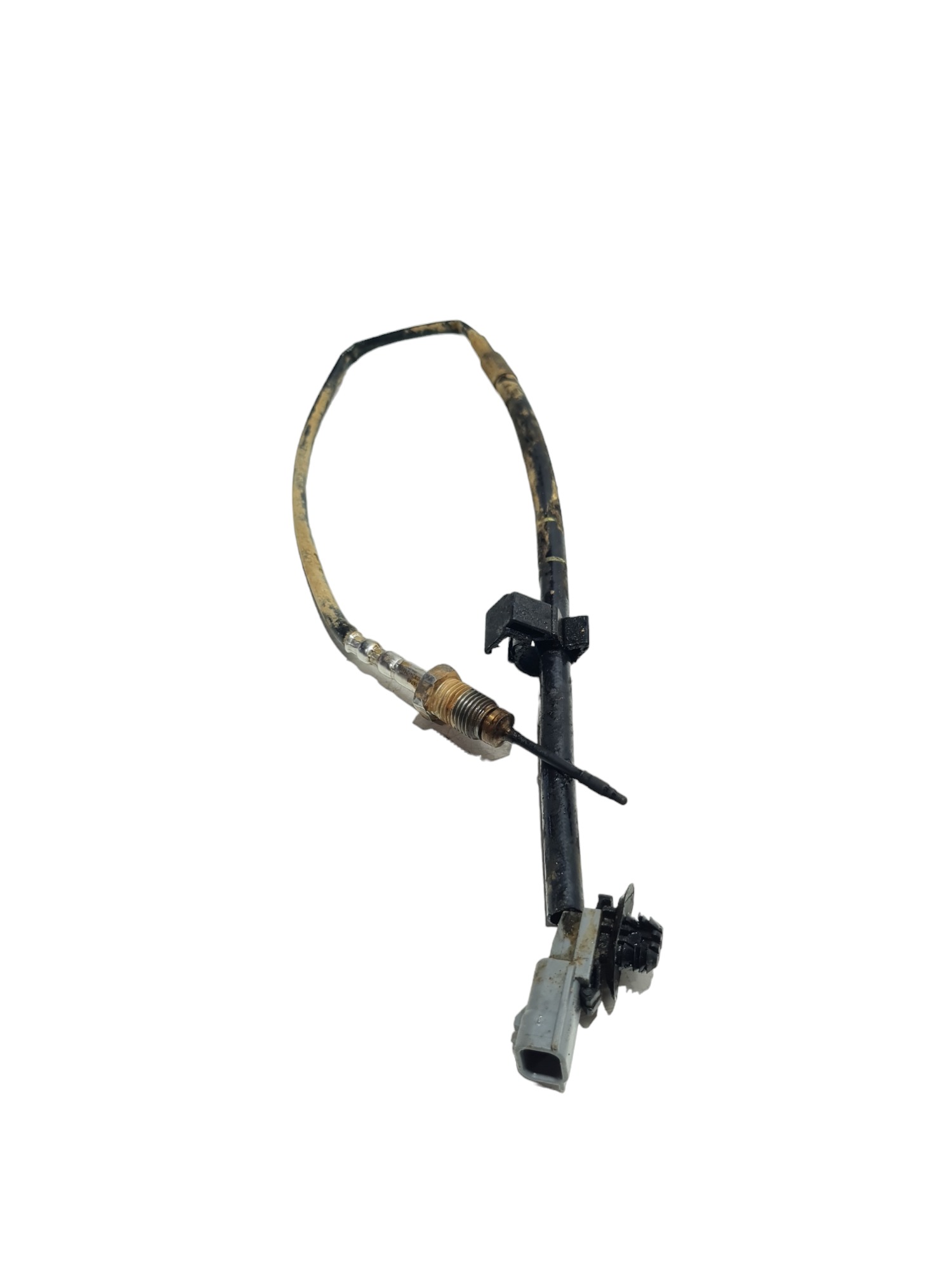 Sonda Lambda Renault Master 2022 Original 4