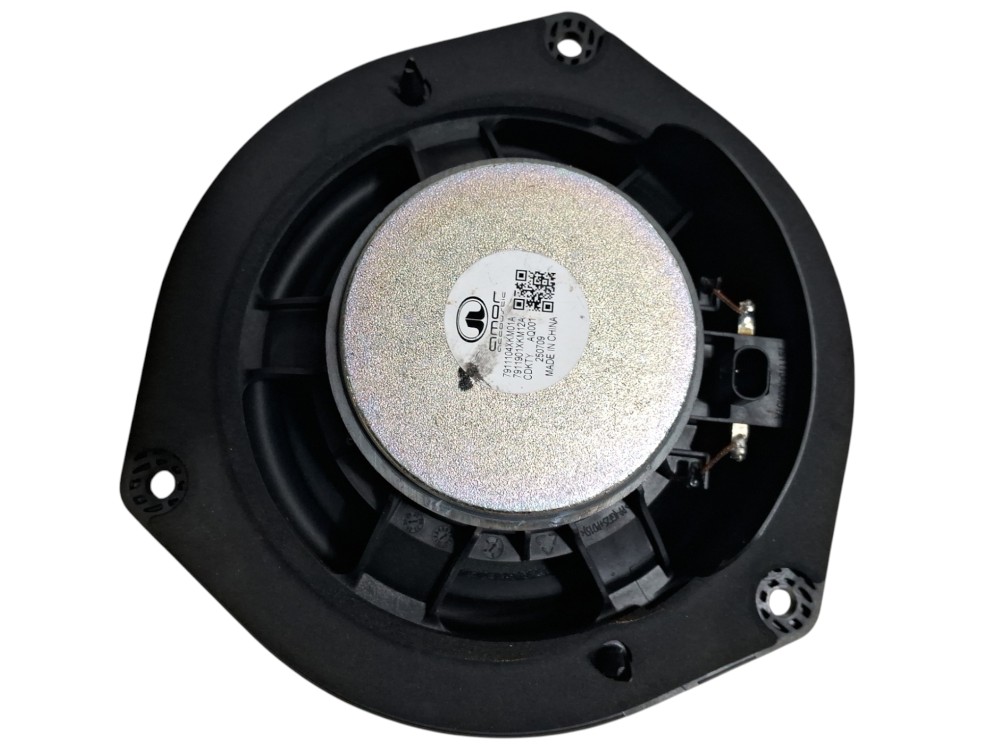 Alto-falante Porta Gwm Tank 300 Híbrido 2024 2025 2026 6
