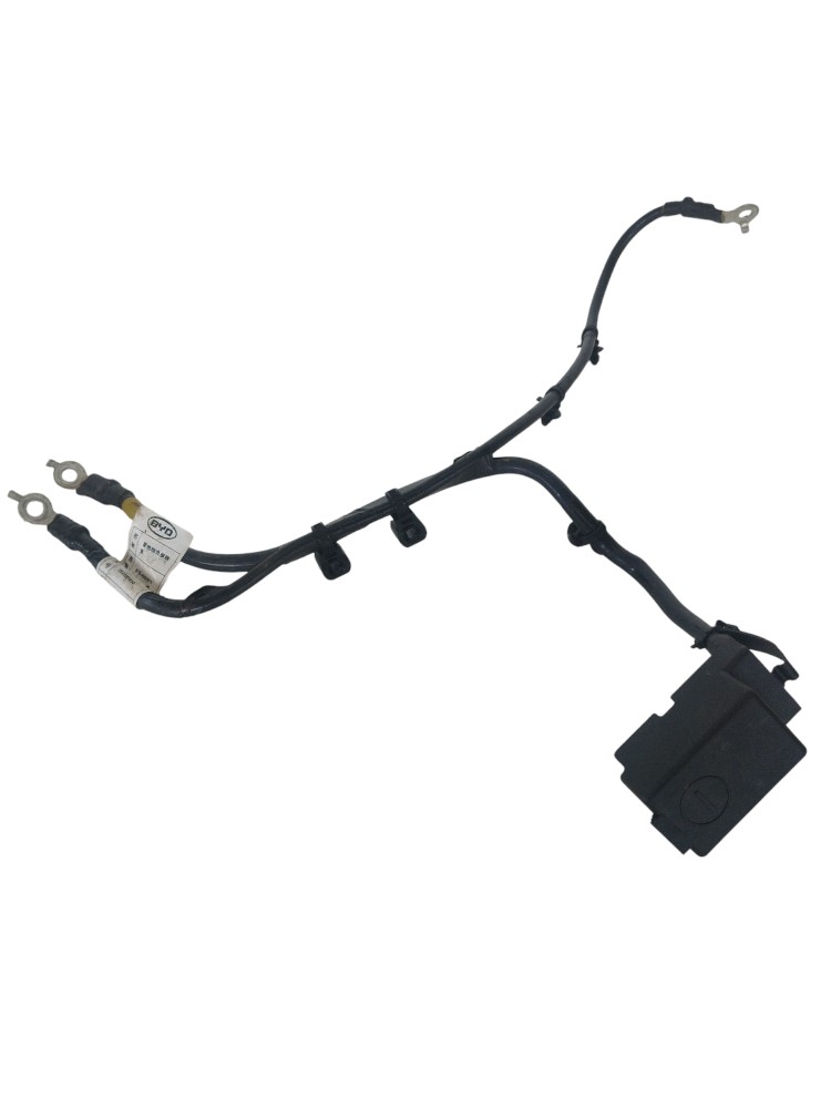 Cabo Negativo Bateria  Byd Tan 2023 Original Ste4002911