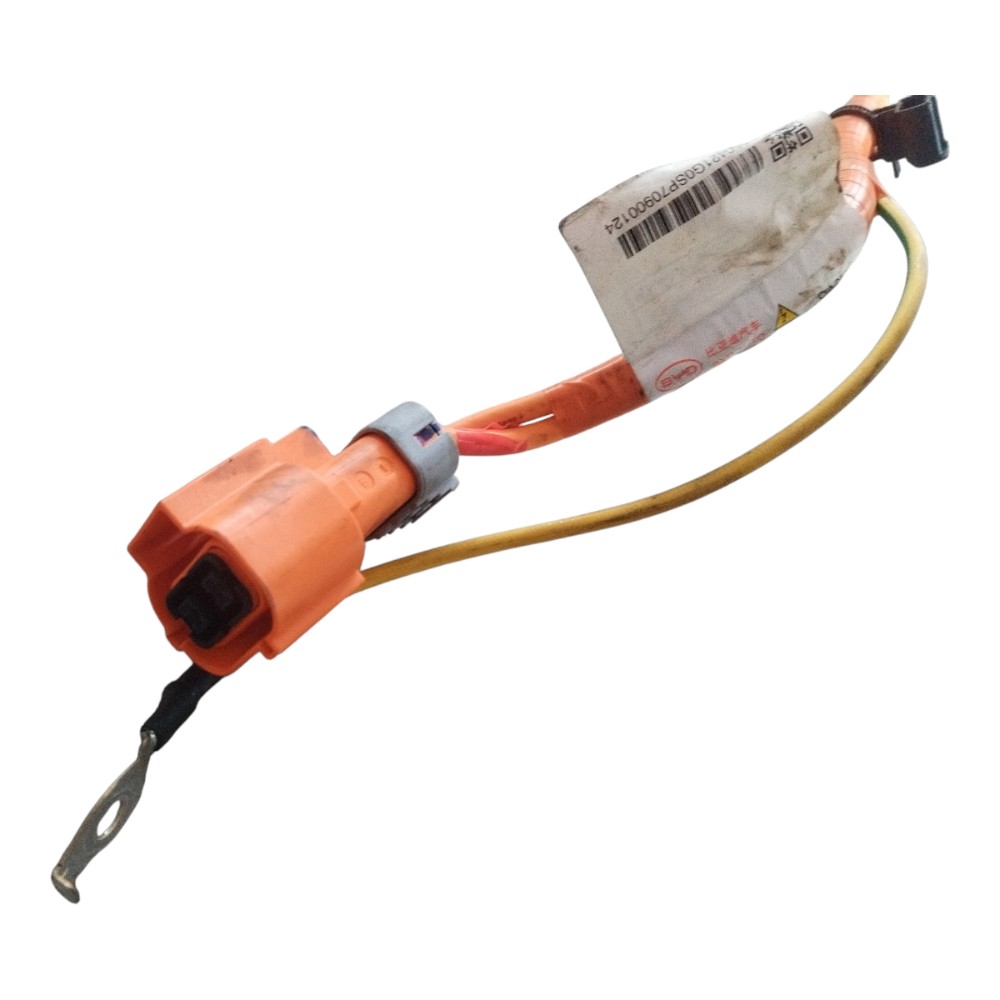 Tomada Carregador Bateria Byd Song Plus 2024 Original 6