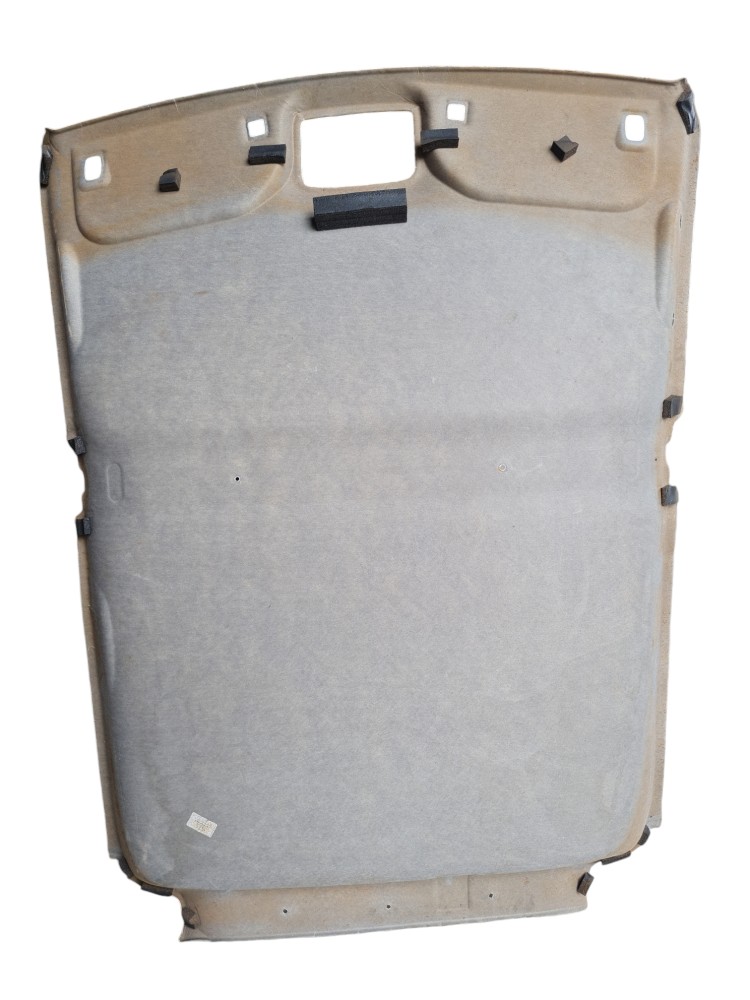 Forro Teto Interno Jac E-js1 2023 Ótimo Estado 6