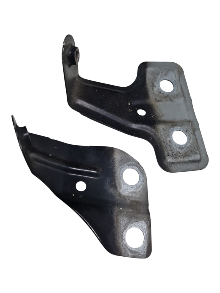 Suporte paralama byd dolphin mini ano 2025 2026 original