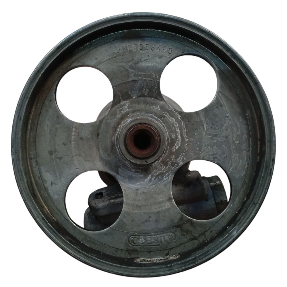 Bomba Direção Hidráulica Peugeot 206 1.4 2001 2002 2003 2008 5