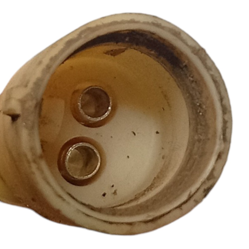 Par Sensores Freio ABS Vectra Cd 98 99 2000 2003 2004 2005 2