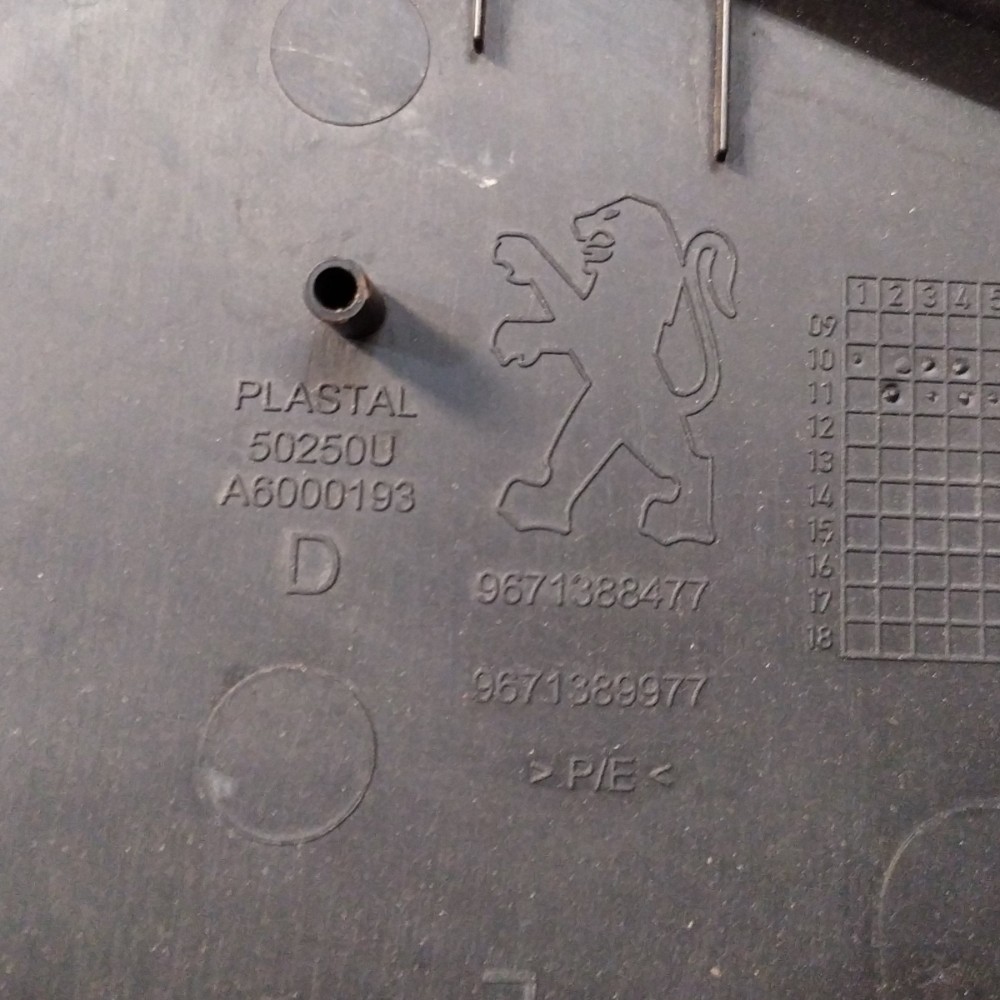 Forro Porta Dianteira Direita Peugeot 308 408 2012 2015 2019 6