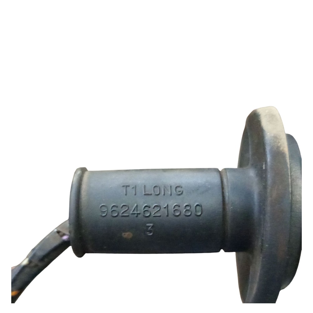Chicote Porta Traseira Peugeot 206 2001 2002 2003 2004 2008 5