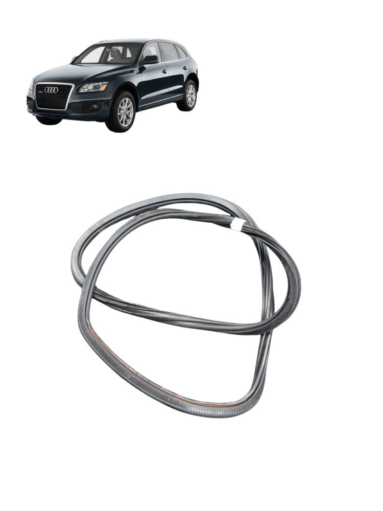 Borracha Porta Traseira Esquerda Audi Q5 2.0 Turbo 2009 2010