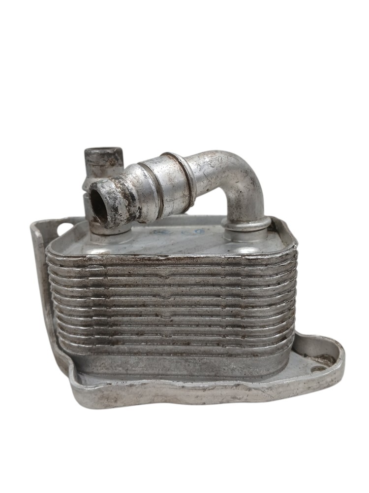 Resfriador Calor Óleo Bmw 320i 2.0 Aspirada 2009 2010 2011 5