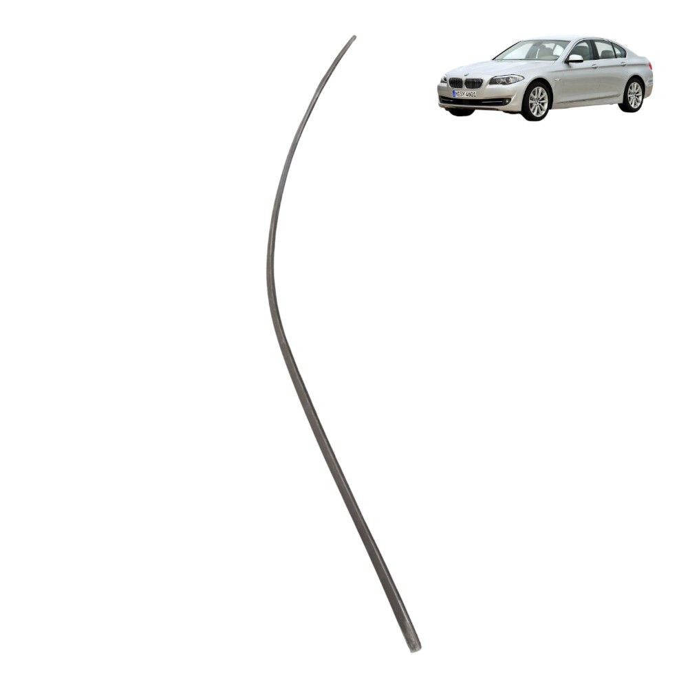 Friso Teto Lateral Esquerdo Bmw 550i 4.4 V8 2011 2012 F10