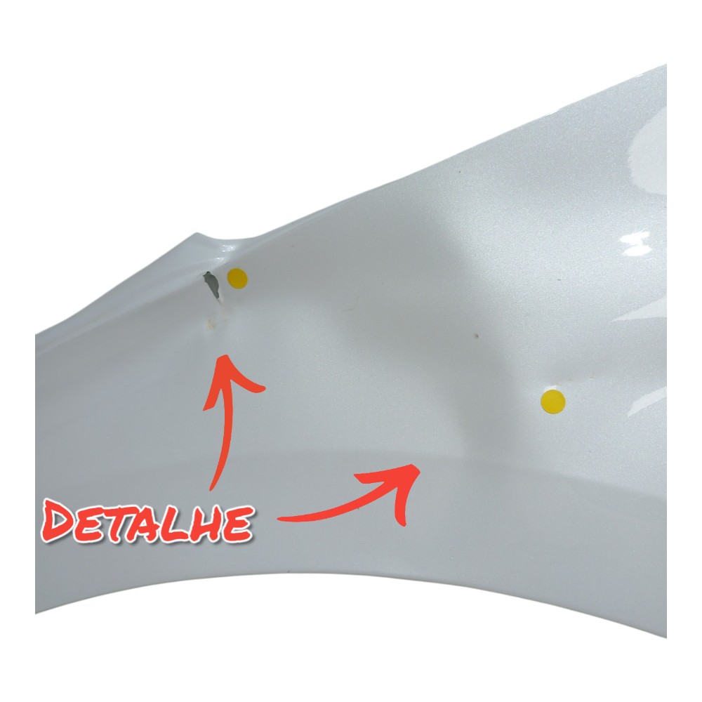 Paralama Dianteiro Esquerdo C Detalhe Byd Han Awd 680ev 2023 2