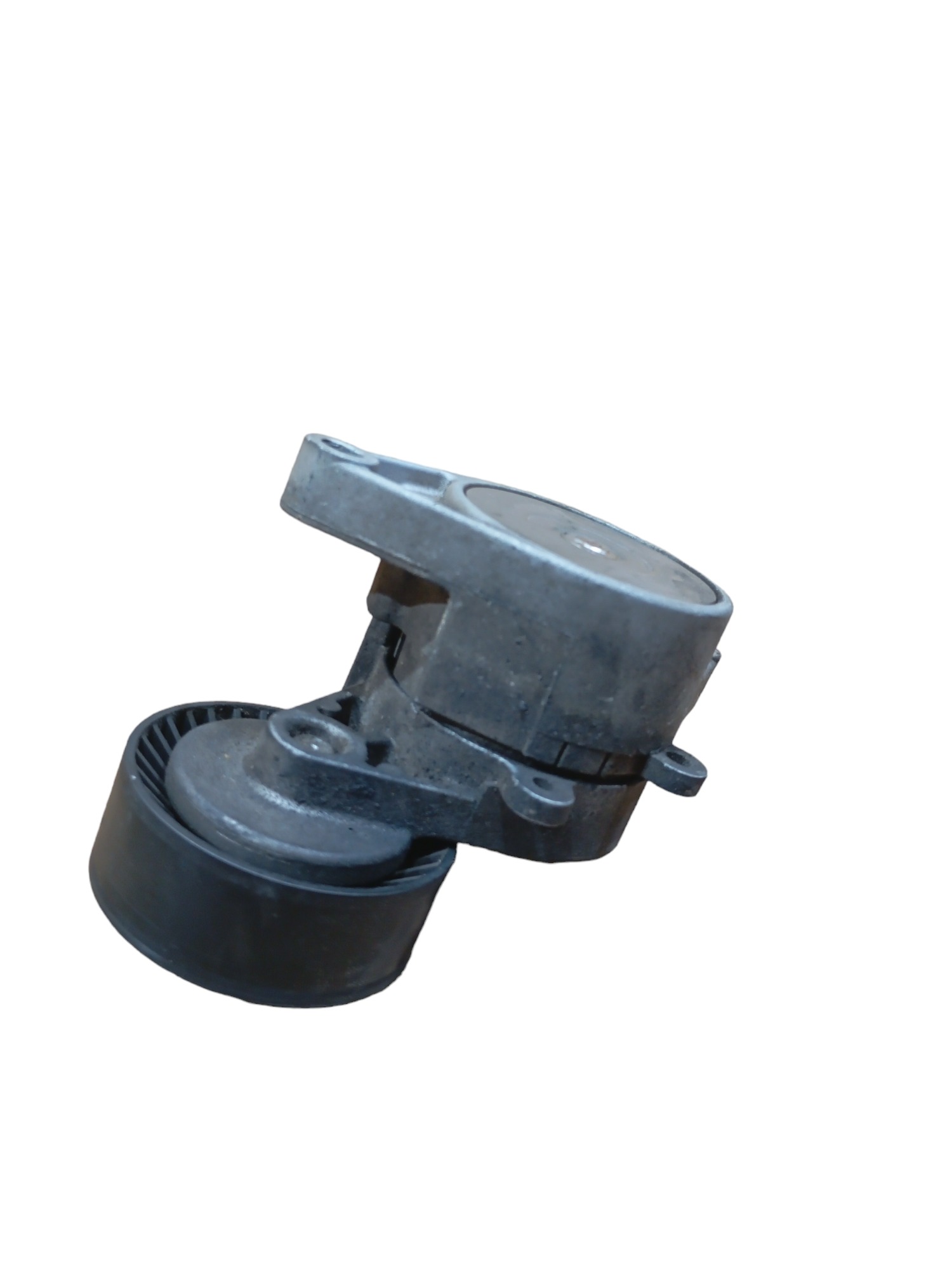 Tensor Da Correia Do Alternador E Polia Bmw X5 2003 2