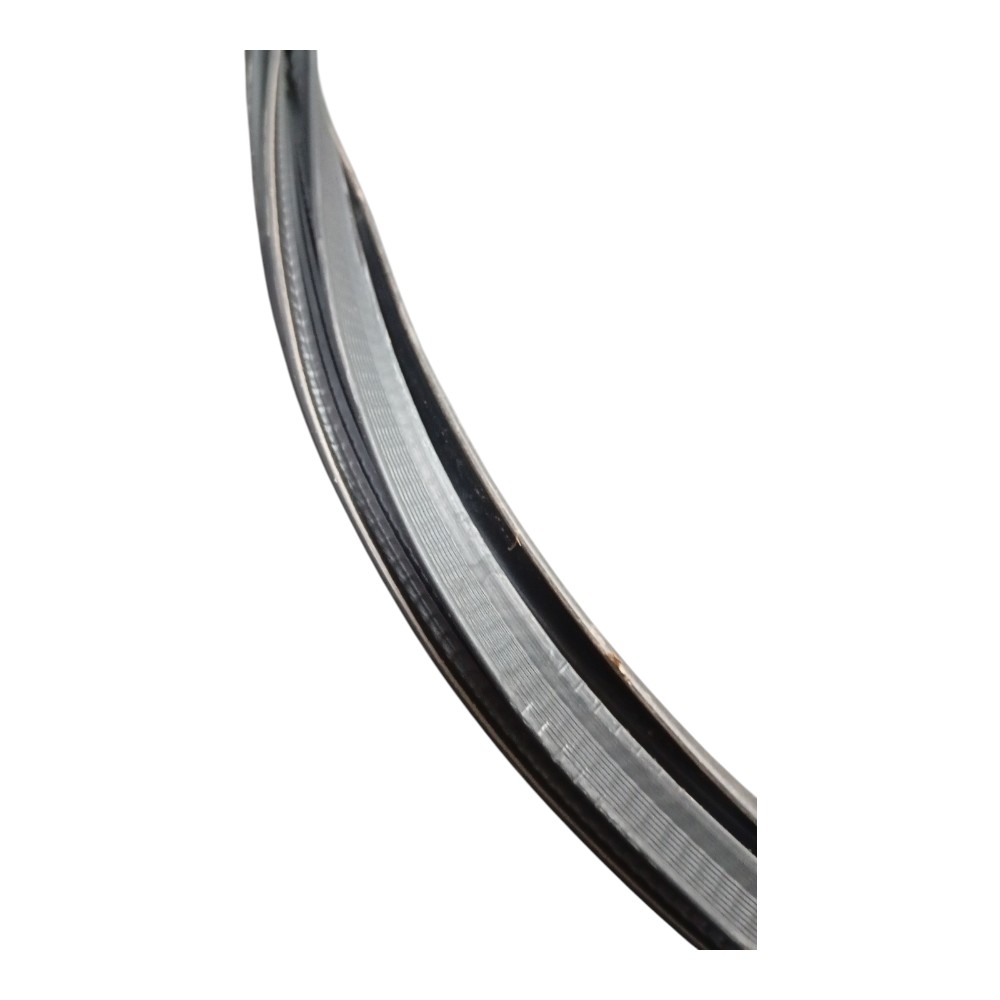 Borracha Porta Traseira Esquerda Byd Han Awd Gs 680ev 2023 6