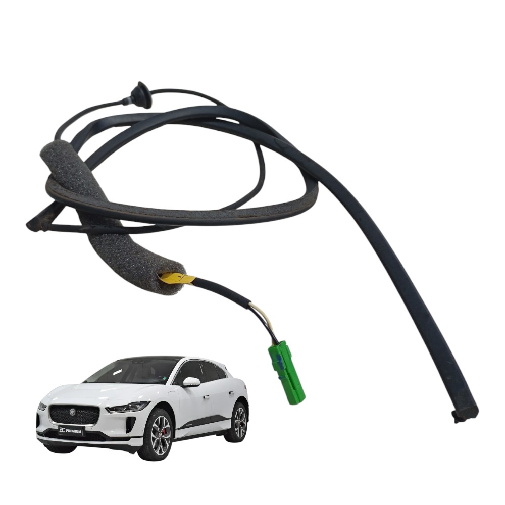 Chicote Sensor Antiesmagamento Jaguar I-pace Elétrico 2020