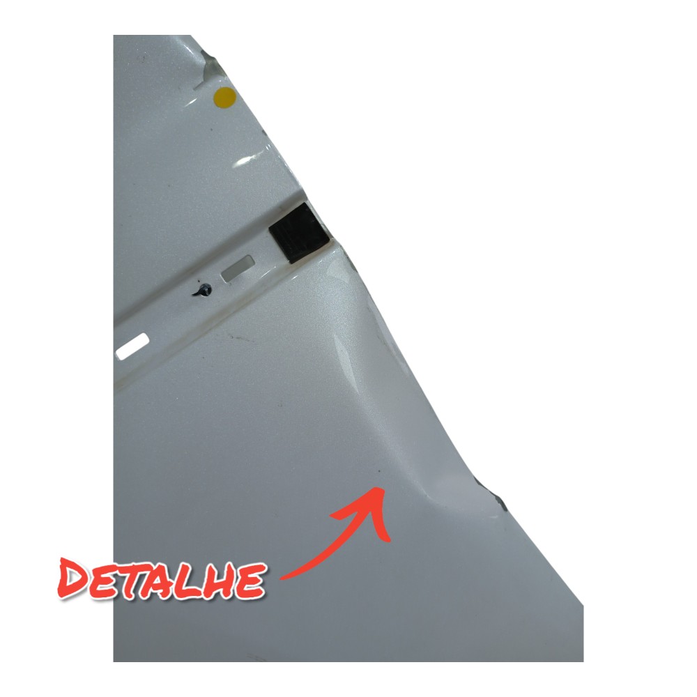 Paralama Dianteiro Esquerdo C Detalhe Byd Han Awd 680ev 2023 4