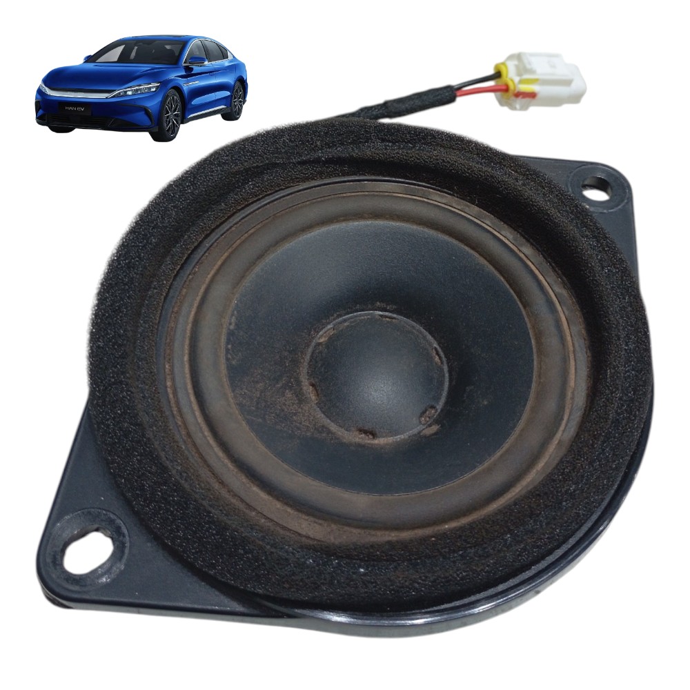 Alto Falante Traseiro Direito Byd Han Awd Gs 680ev 2023 1