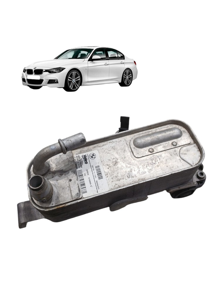 Radiador Resfriador Calor Óleo Bmw 320i 2.0 F30 2013 2016 2