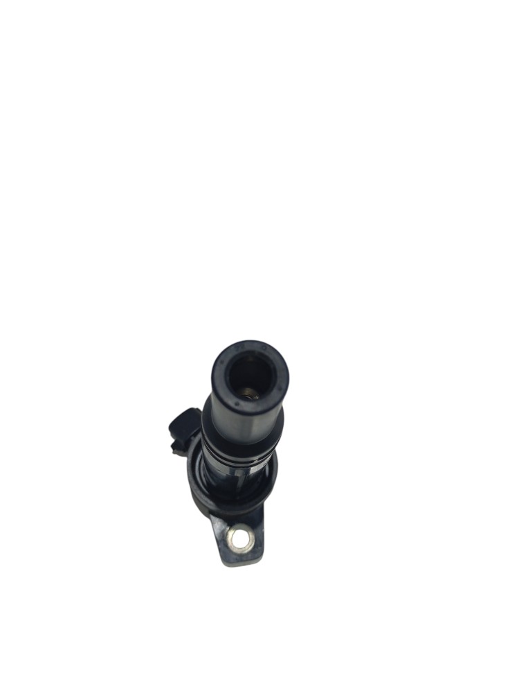 Bobina De Ignição Hyundai Ix35 2.0 2015 2016 273002e000