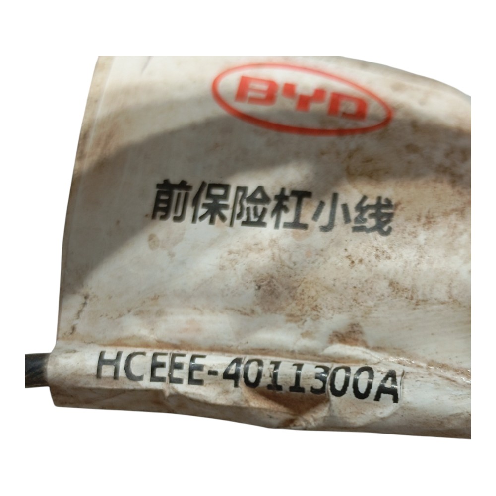 Chicote Sensor Estacionamento Câmera Frontal Byd Han Ev 2023 2