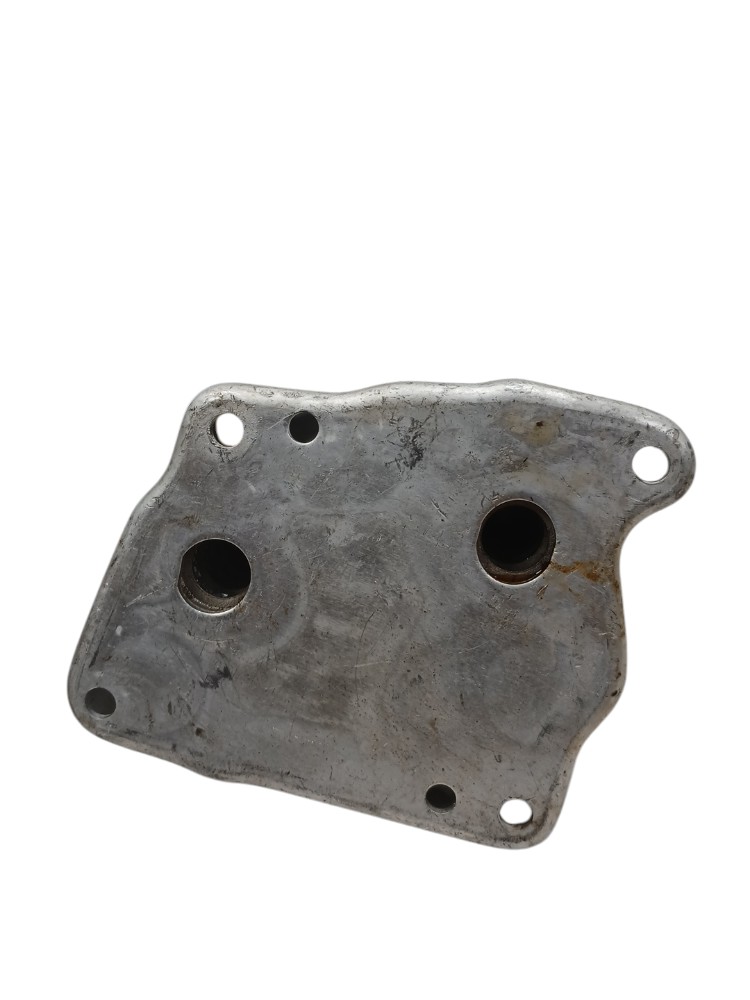 Resfriador Calor Óleo Bmw 320i 2.0 Aspirada 2009 2010 2011 4