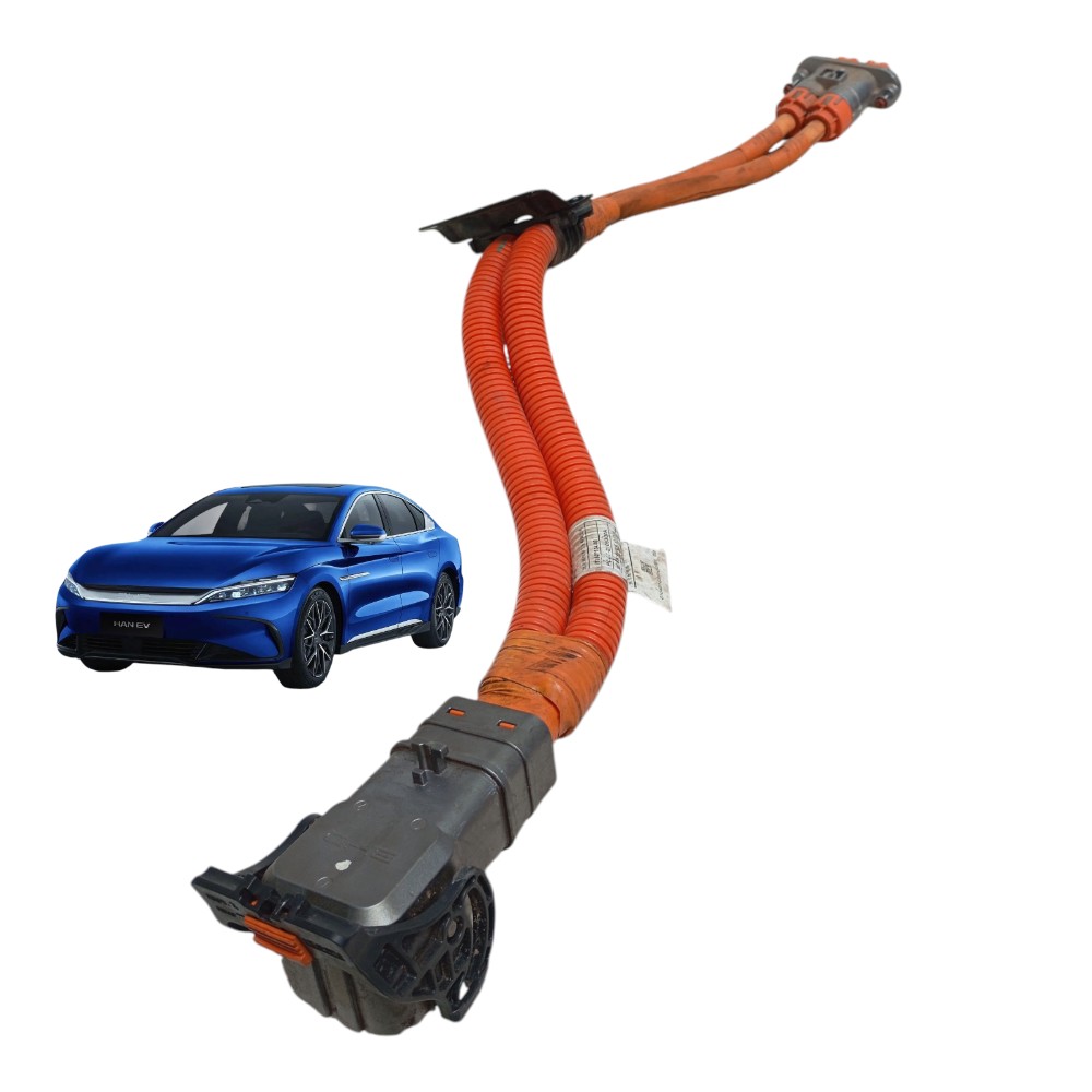 Cabo Chicote Bateria Byd Han Awd Gs 680ev Dolphin Mini 2022