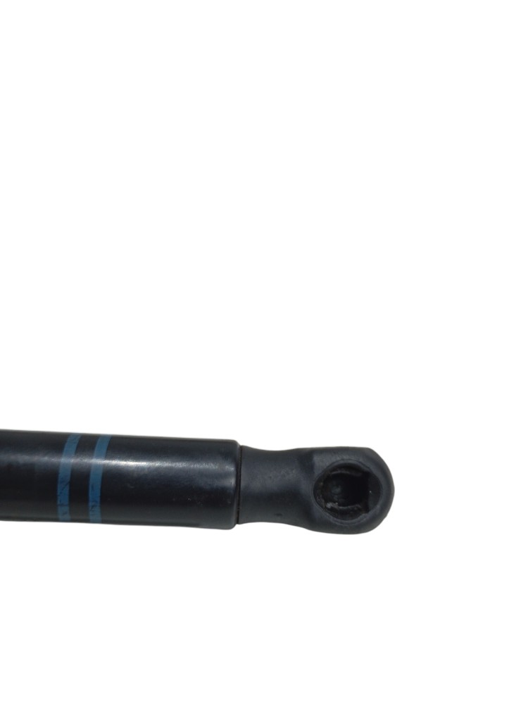 Amortecedor Capô Bmw 320i 2.0 F30 N20 2013 2014 2015 7239233