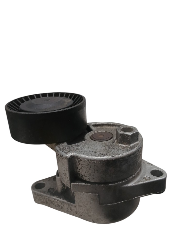 Tensor Esticador Correia Bmw 320i 2.0 2000 2001 2002 2003 3