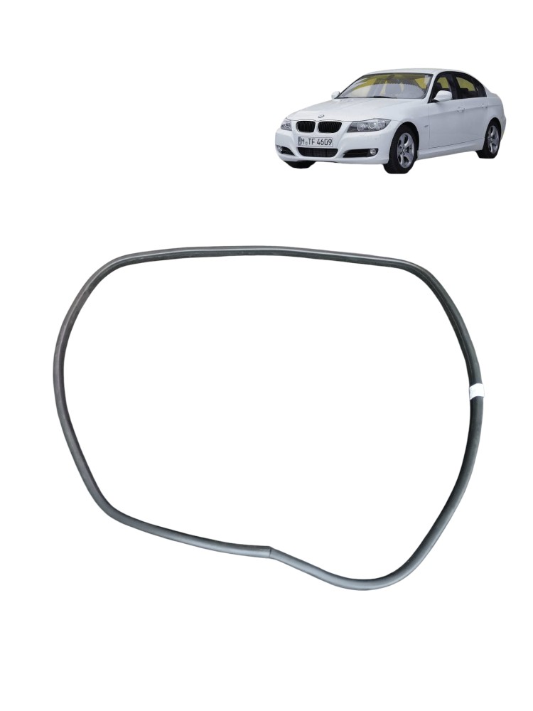Borracha Porta Traseira Direita Bmw 335i 3.0 2008 2010 E90