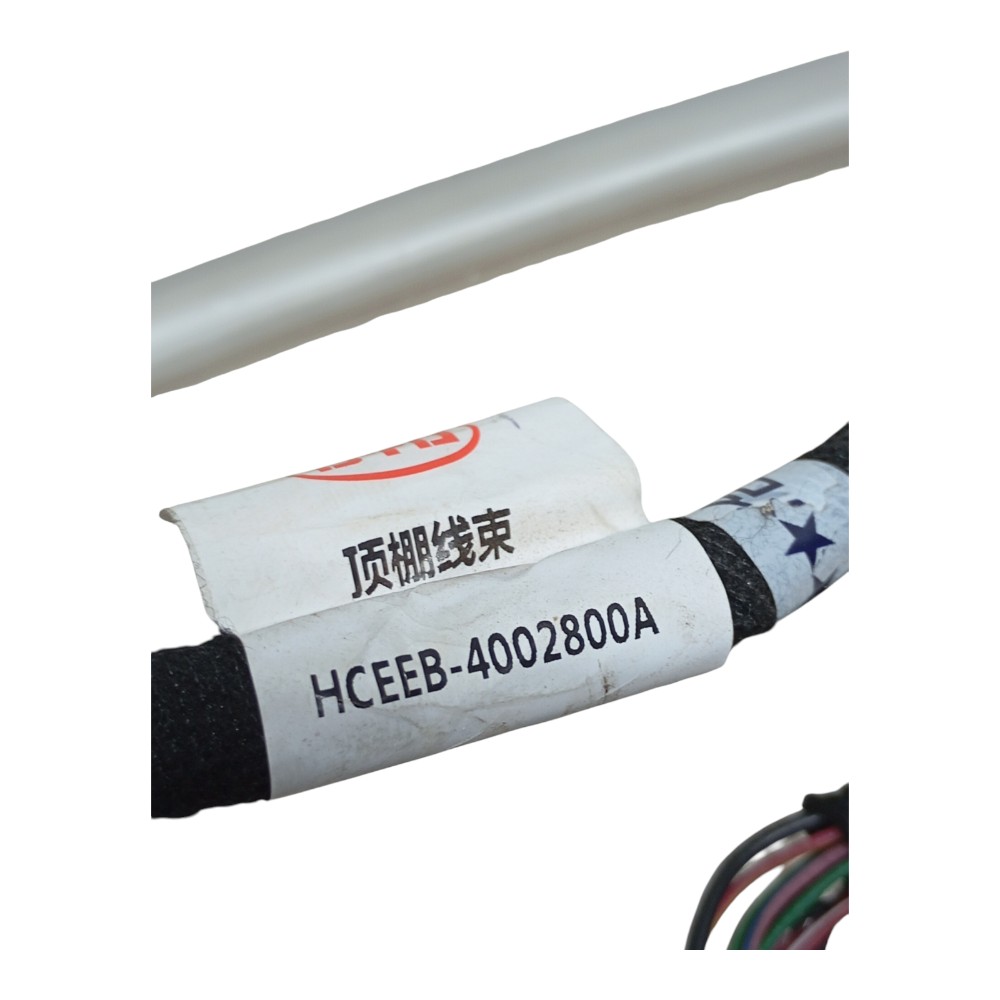 Chicote Teto Byd Han Gs 680ev Dolphin Mini Song Plus 2023 2