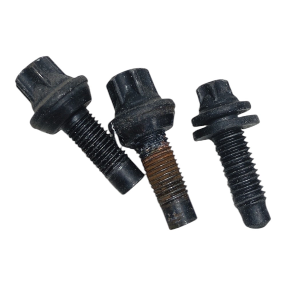 Kit Jogo Parafuso Porta Traseira Direita Bmw 528i 535i 2014