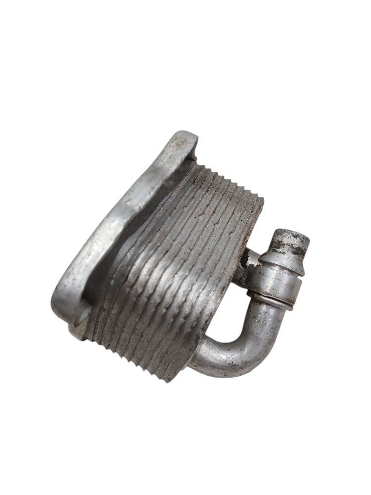 Resfriador Calor Óleo Bmw 320i 2.0 Aspirada 2009 2010 2011 2