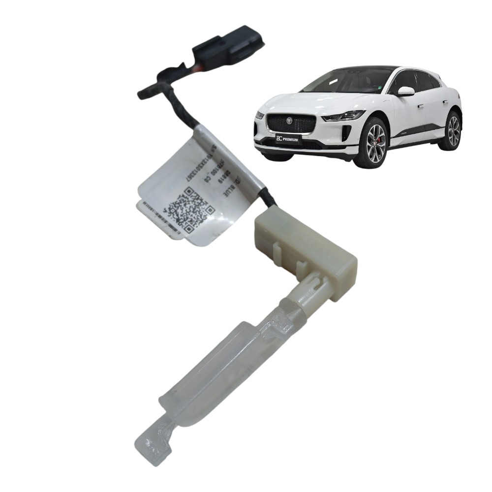 Led Maçaneta Traseira Direita Jaguar I-pace Elétrico 2020