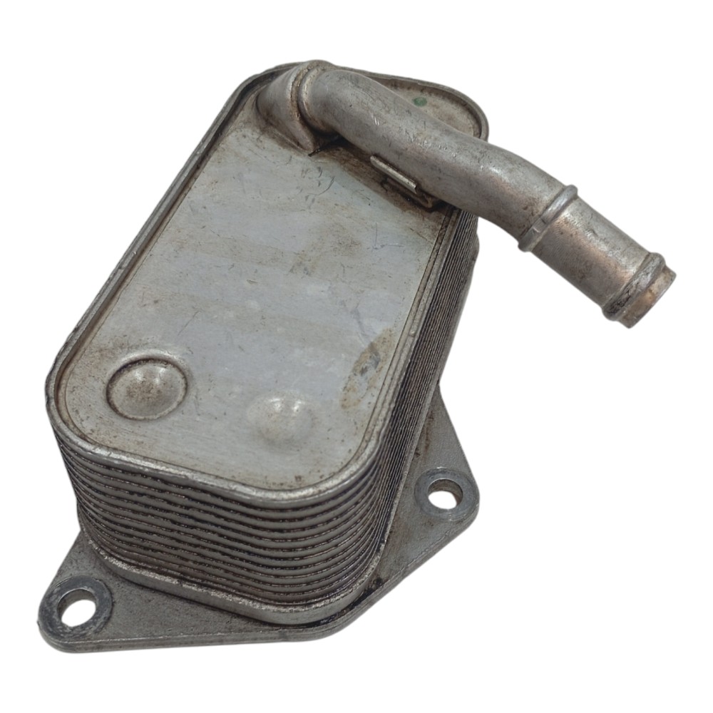 Resfriador Trocador Calor Óleo Motor Bmw X6 4.4 V8 2010 E71 6