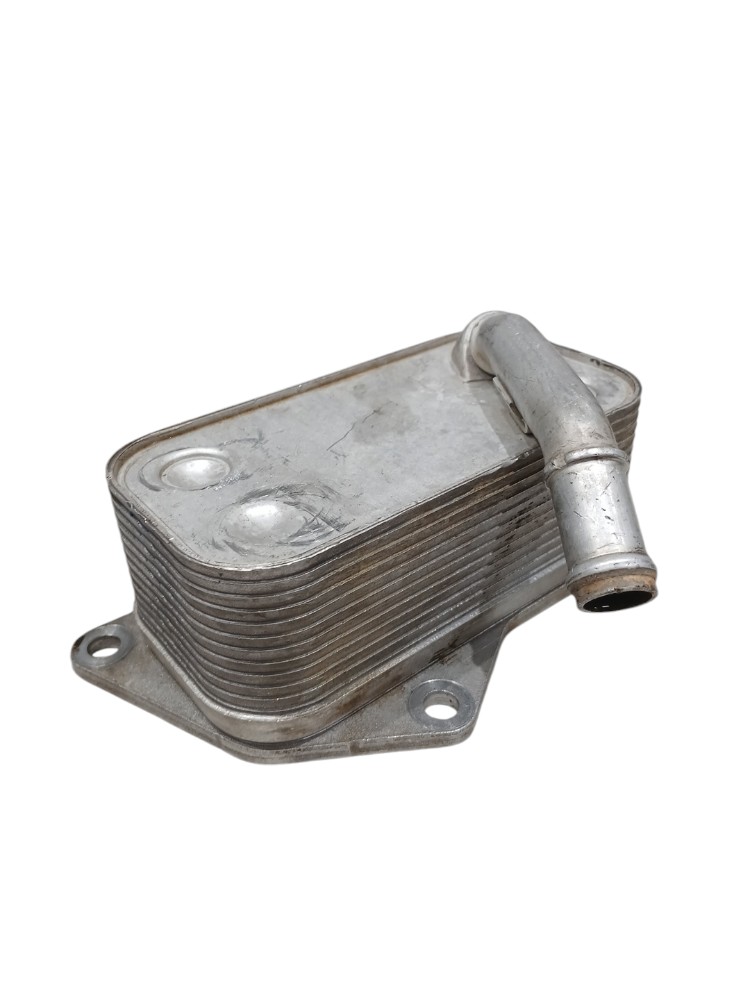 Resfriador Trocador Calor Óleo Bmw 320i 2.0 F30 2014 2015 3
