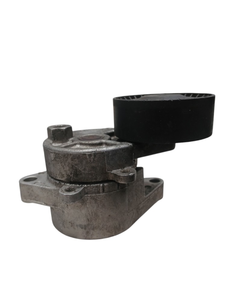 Tensor Esticador Correia Bmw 320i 2.0 2000 2001 2002 2003 2