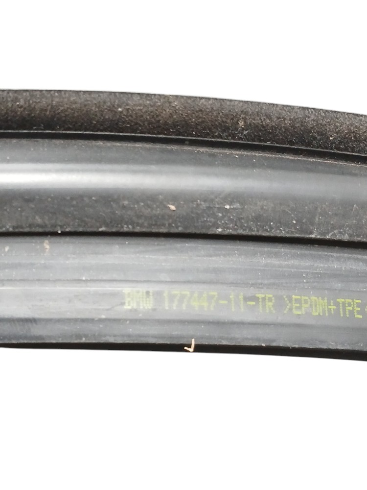 Borracha Canaleta Traseira Esquerda Bmw 320i 2.0 F30 2018