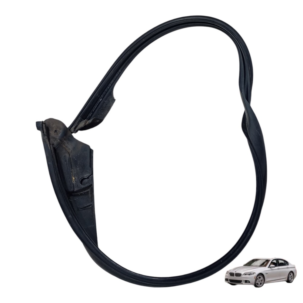 Borracha Vedação Porta Bmw 528i 2014