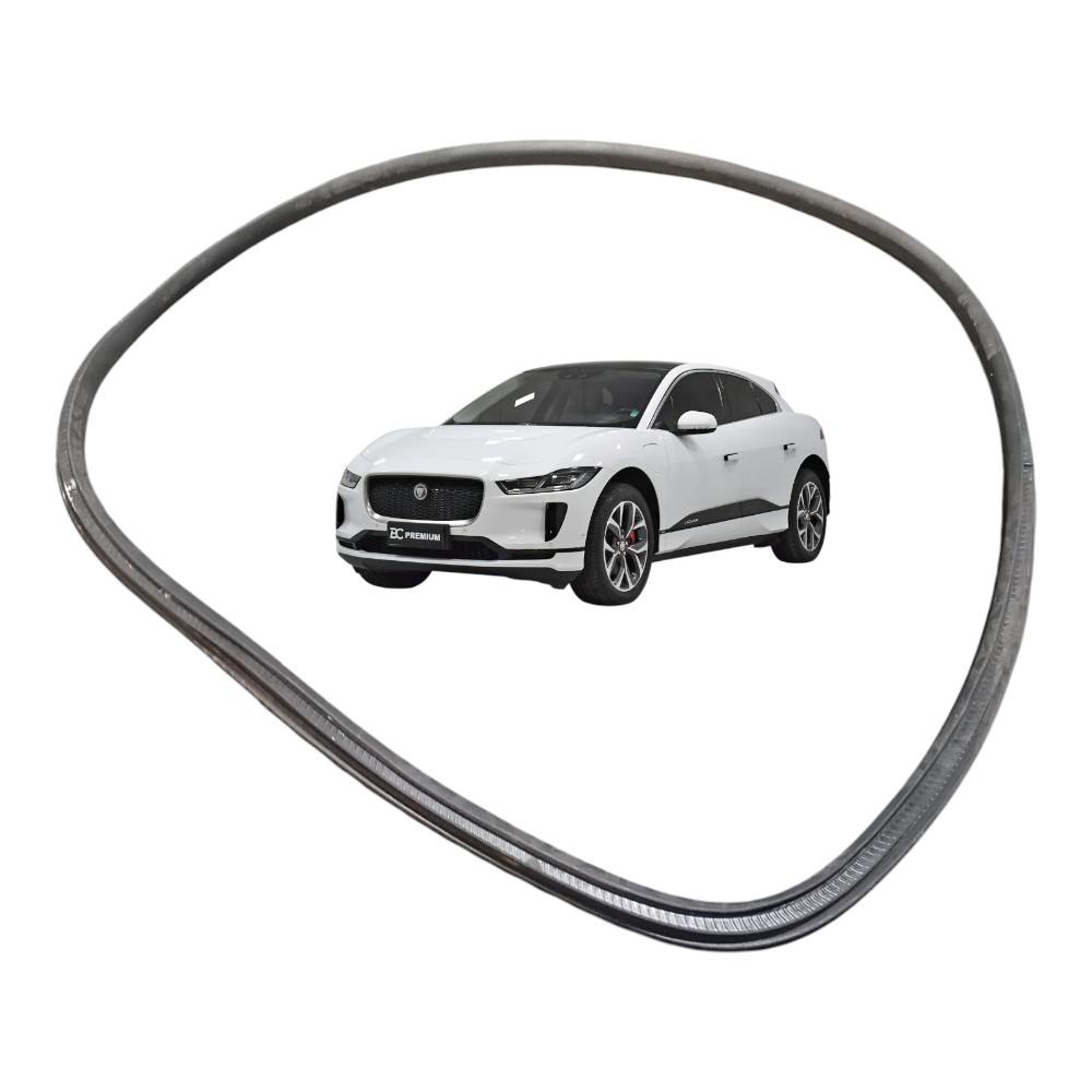 Borracha Porta Traseira Esquerda Jaguar I-pace Elétrico 2020