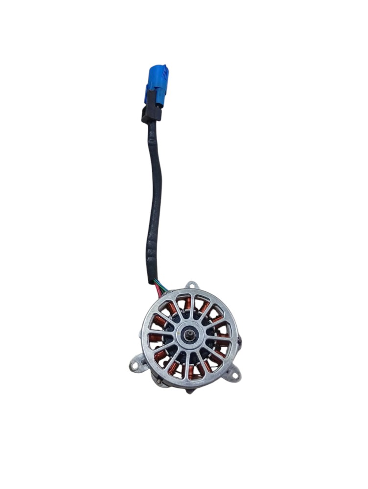 Motor Ventoinha Byd Dolphin Mini 2025 2026
