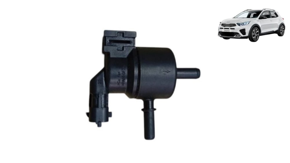 Válvula Canister Stonic 1.0 2022