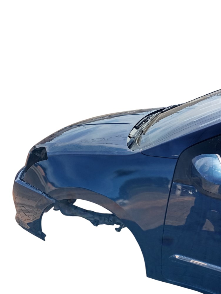 Paralama Esquerdo Sentra 2010