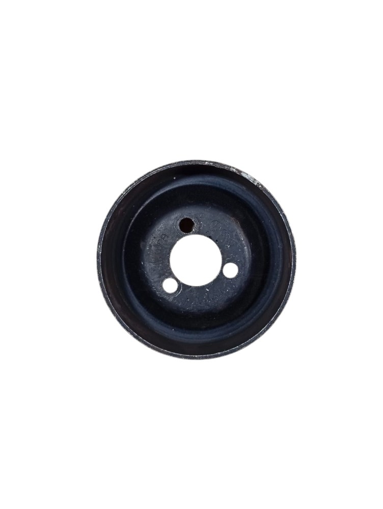 Polia Bomba Água Volkswagen Golf 1.8 1993 1998 2