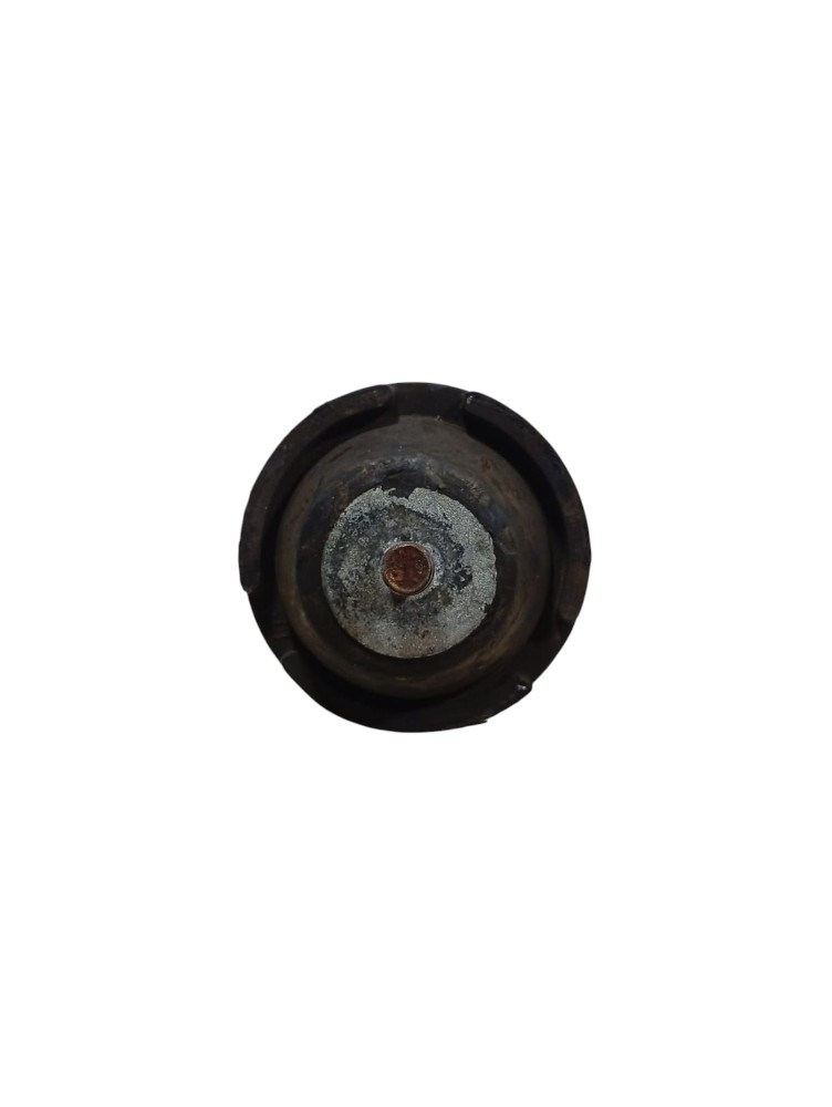 Coxim Superior Peugeot 206 2004 4