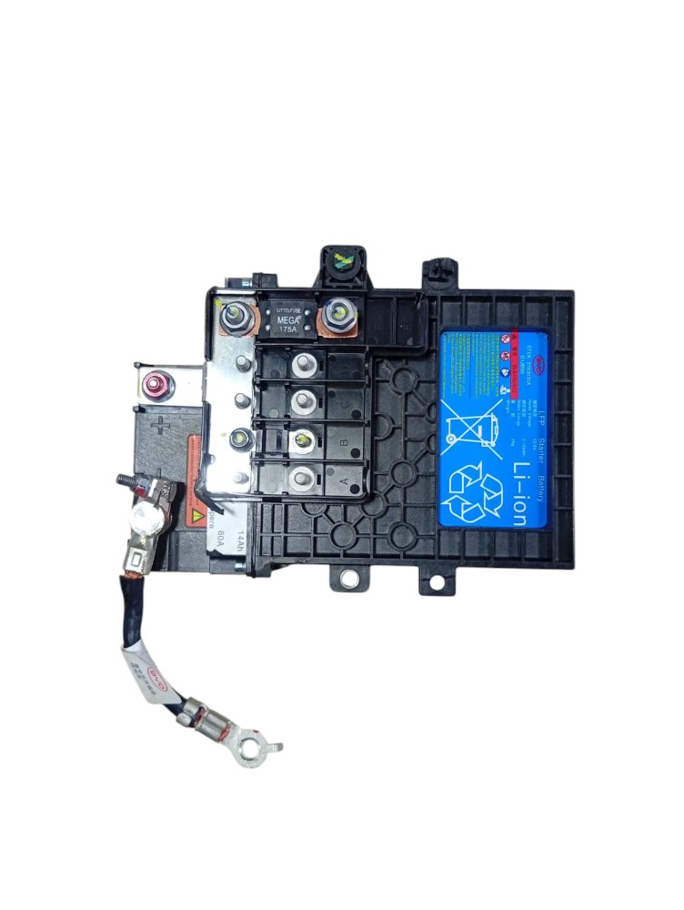 Bateria Partida Byd Dolphin Mini 2025 2026 Avaria