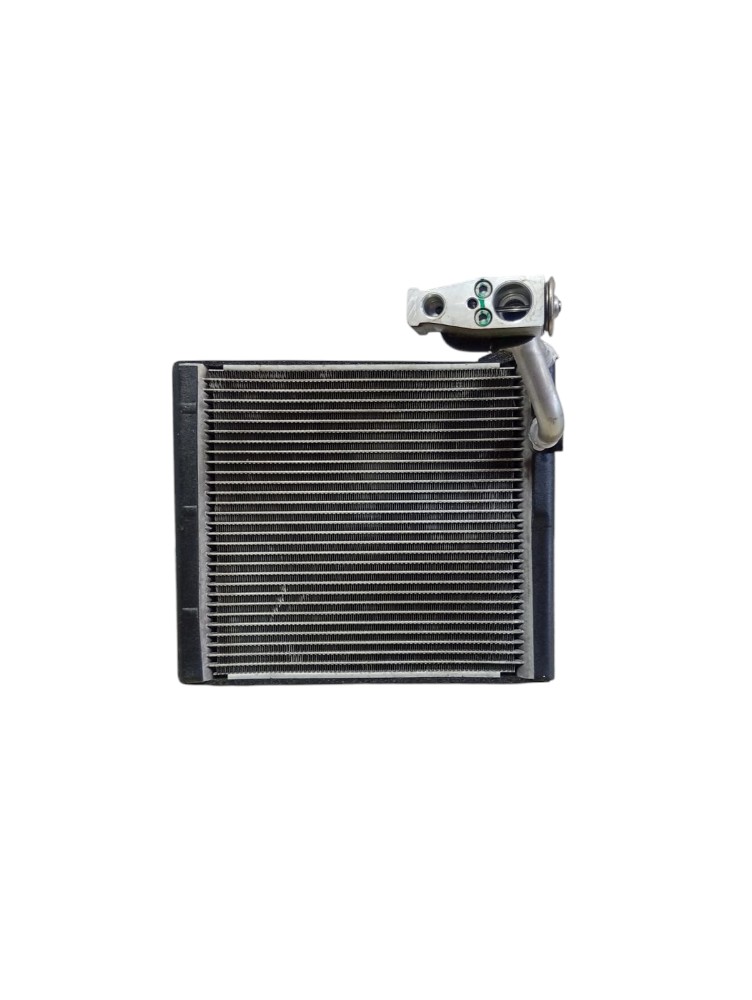 Evaporador Ar Condicionado Byd Dolphin Mini 2025 2026
