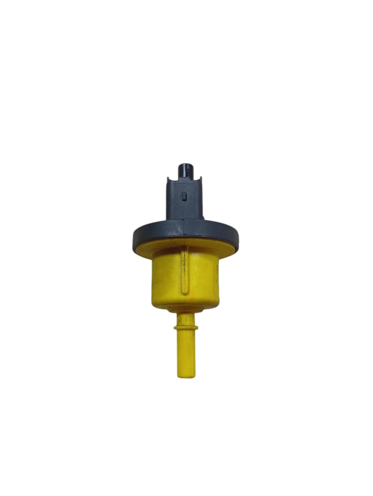Válvula Canister Renault Kwid 1.0 2023 2024