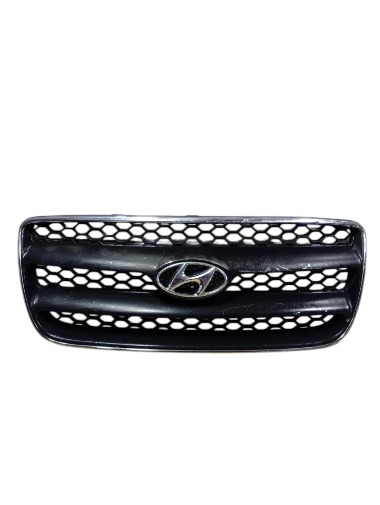 Grade Dianteira Hyundai Santa Fé 2008 2010 Avaria